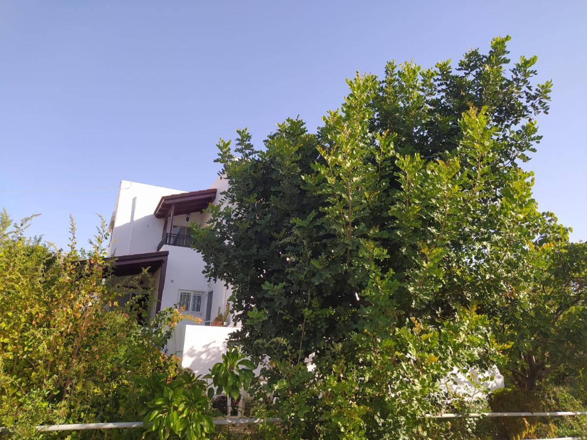 Mear Holiday Homes - Cretan Summer Getaways Kountoura Selino Exterior foto